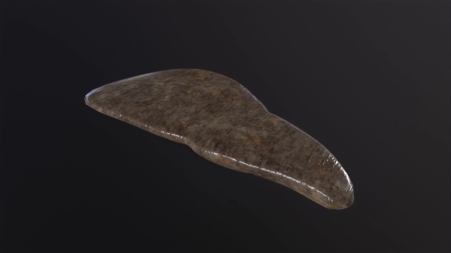Human Liver 3D Model .c4d .max .obj .3ds .fbx .stl .blend 
