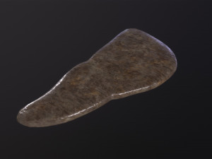 Human Liver 3Dモデル