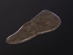 Human Liver 3D Model