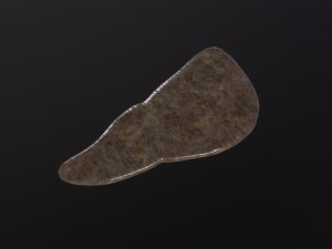 Human Liver 3Dモデル