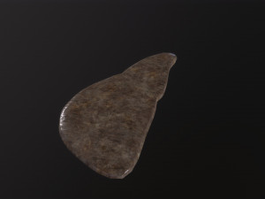 Human Liver 3Dモデル