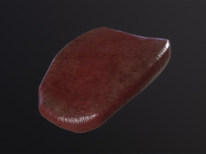 Severed Tongue 3D Модель