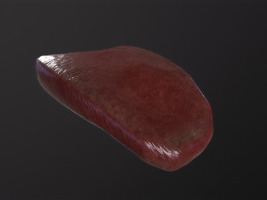 Severed Tongue 3D Модель