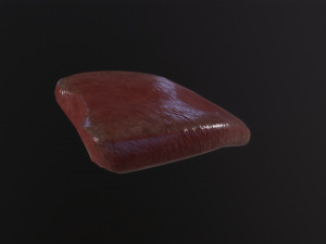 Severed Tongue 3D Модель