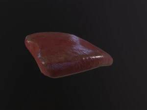 Severed Tongue 3D Model