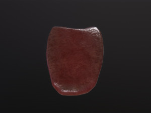 Severed Tongue 3D Модель