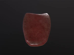 Severed Tongue 3D Model