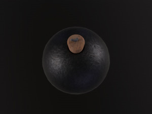 Bomb Ball 3D Model