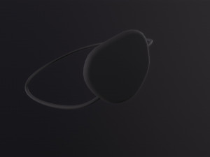 Eye Patch 3D 모델