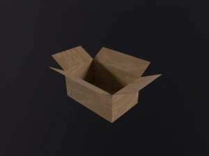 Kartonnen dozen 3D Model