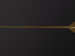 Long trumpet 3D 模型
