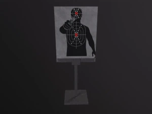 Falling Target 3D Model