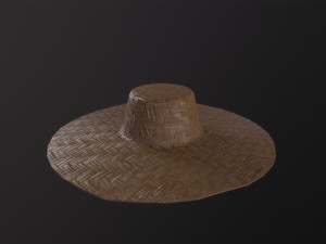 Farmers Hat Modello 3D