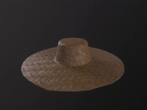 파머스 햇 3D 모델