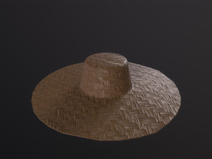 Farmers Hat 3D Model