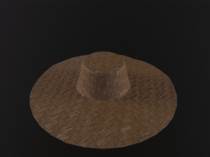 Farmers Hat 3D Model