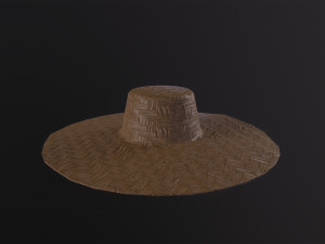 Farmers Hat 3D Model