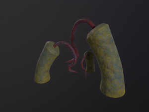 Alien Flora 3D Model