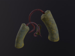 Alien Flora Model 3D