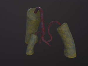Alien Flora Model 3D