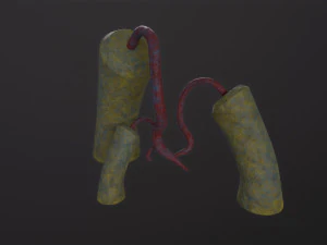 Alien Flora 3D Model