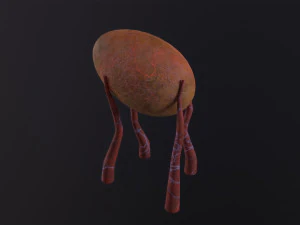Alien Flora 3D Model