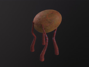 Alien Flora Modèle 3D