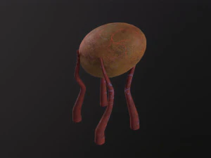 Alien Flora 3D Model