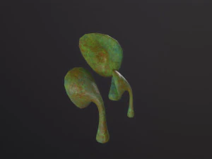 Alien Flora 3D Model
