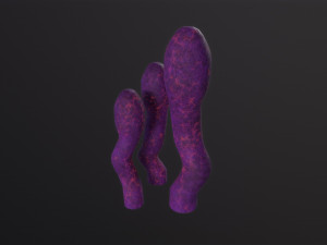 Alien Flora 3D-Modell