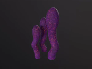 Alien Flora 3D Model