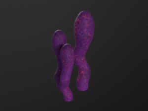 Alien Flora 3D-Modell