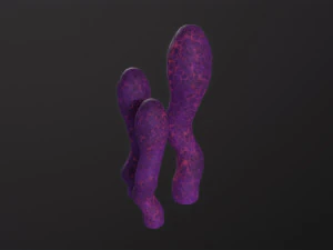 Alien Flora 3D Model
