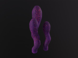 Alien Flora 3D-Modell