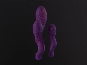 Alien Flora 3D Model
