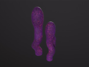 Alien Flora 3D-Modell