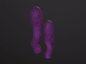 Alien Flora 3D Model