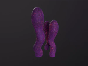 Alien Flora 3D Model