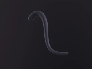 Cat Tail 3D Model