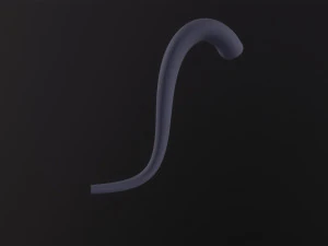 Cat Tail 3D Model
