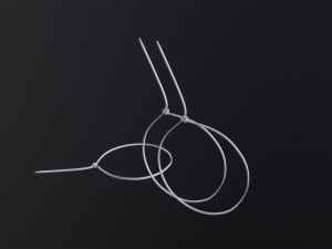 Zip Ties 3D Модель
