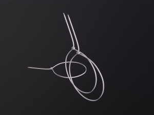 Zip Ties 3D Model