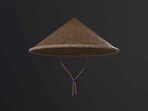 Fashion Hats 3D Model