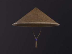 Fashion Hats Modelo 3D