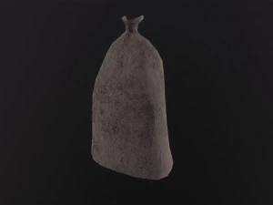 Sack 3D Model