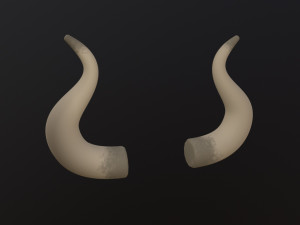 Bull Horn Modèle 3D
