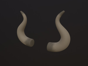 Bull Horn Modèle 3D