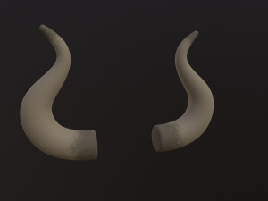 Bull Horn Modèle 3D