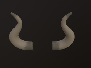 Bull Horn Modèle 3D