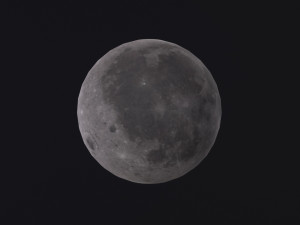 Moon Modello 3D